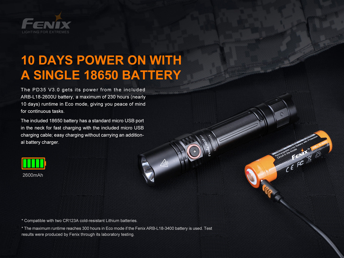 Fenix LED Torch - PD35 V.3